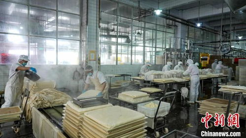 春节拼经济 超6000家浙江企业假期不停工