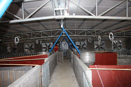 养猪场降温设备推荐与才纳冷气设备品质保障